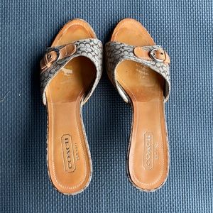 Women’s Coach Sandals